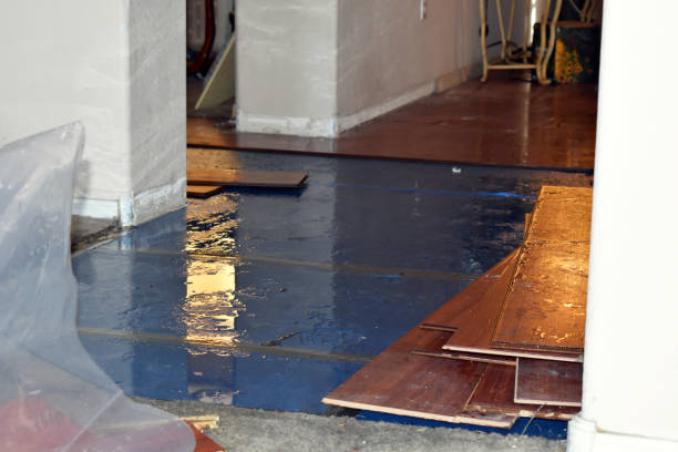 Professional Basement Flood Cleanup technician working in Benzonia, MI